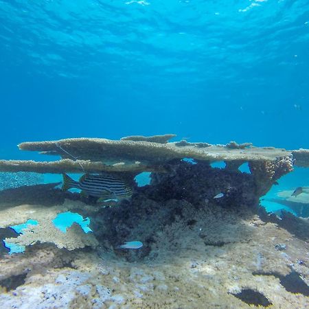 Ukulhas Beach Inn Luaran gambar