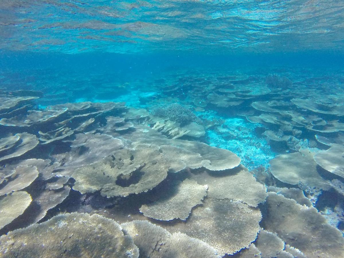 Ukulhas Beach Inn Luaran gambar