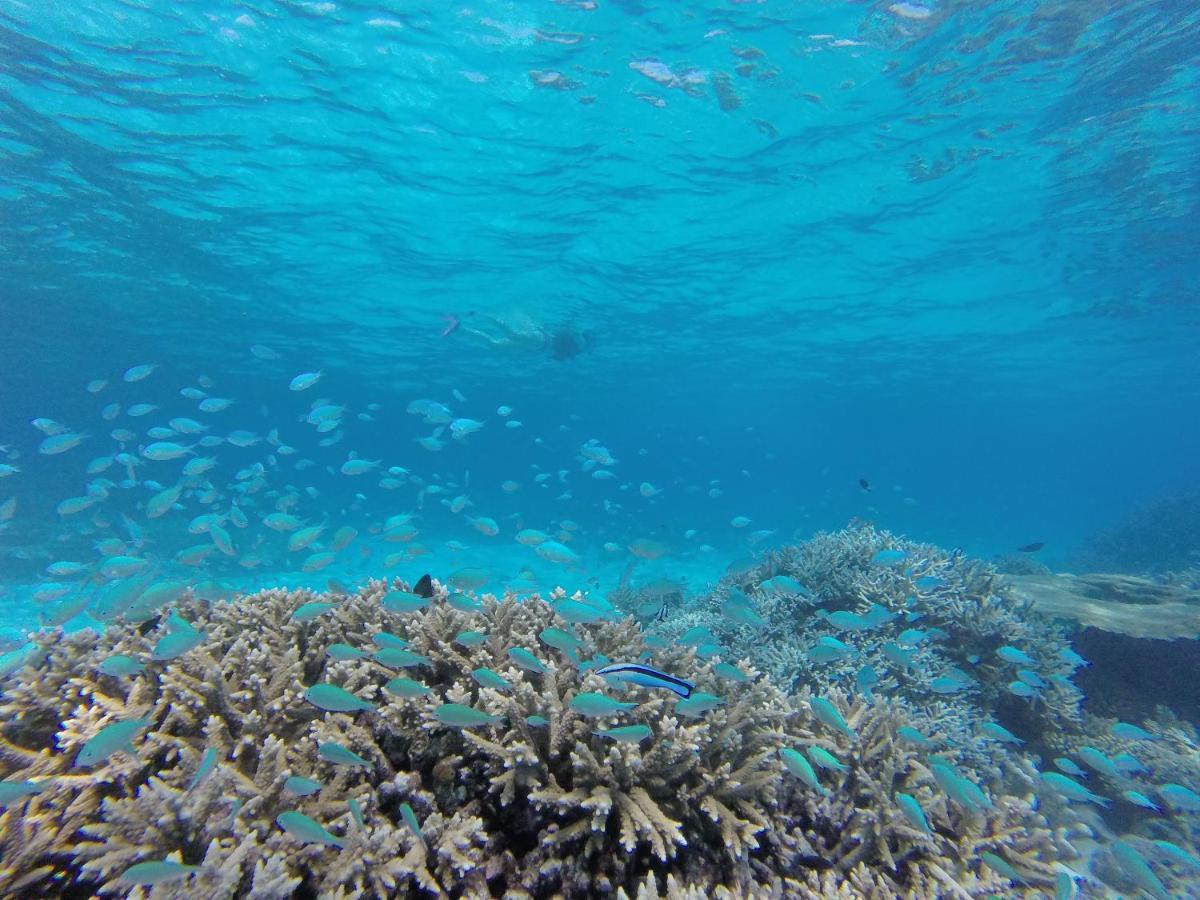 Ukulhas Beach Inn Luaran gambar